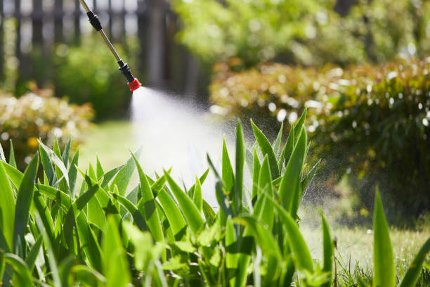 24/7 Emergency Wasp Removal experts in Baxter, MN